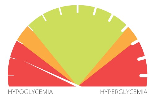 Hyperglycemia and Hypoglycemia | EndoTool Glucose Management System